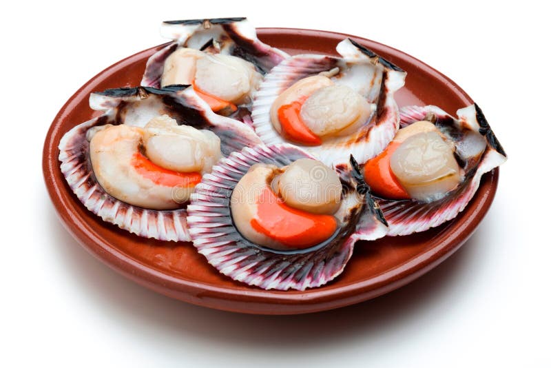 Scallops at fresh market stock image. Image of shell 125324113