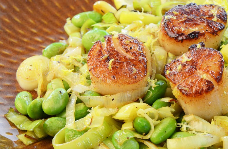 Scallops with Leek and Edamame Stock Photo Image of dinner, cuisine 29058874