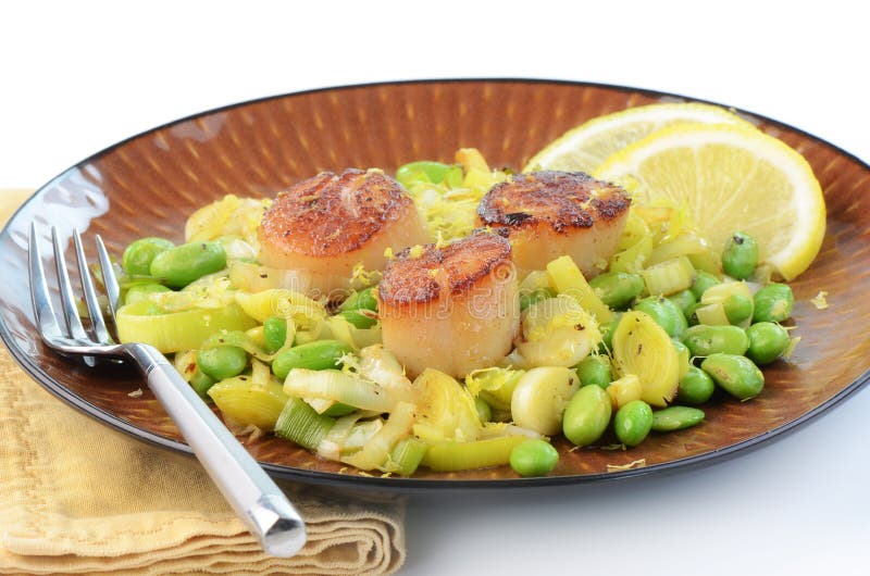 Scallops with Leek and Edamame Stock Photo Image of horizontal, lunch 29058890