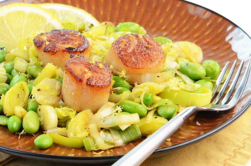Scallops with Leek and Edamame Stock Image Image of bean, green 29058919