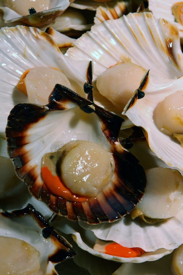 Scallops At The Market Picture. Image 7054986