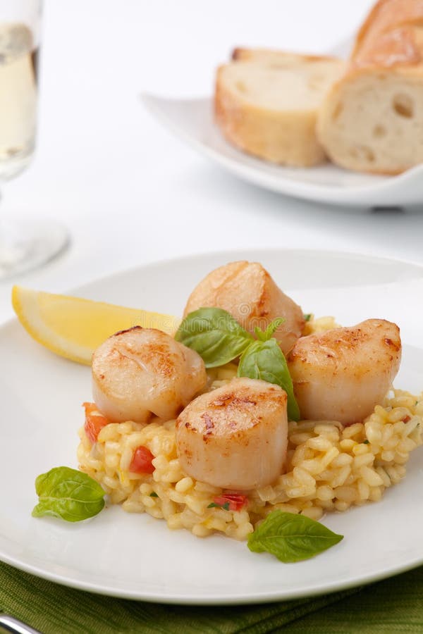 Scallops Risotto stock photo. Image of gourmet, white 13429002