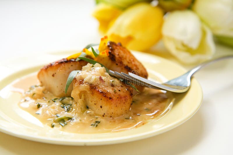 Scallops in Tarragon Cream Sauce Stock Image Image of seafood