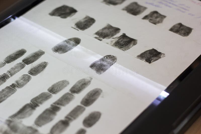 Scanning the Fingerprints of a Suspected Person in a Crime Stock Photo