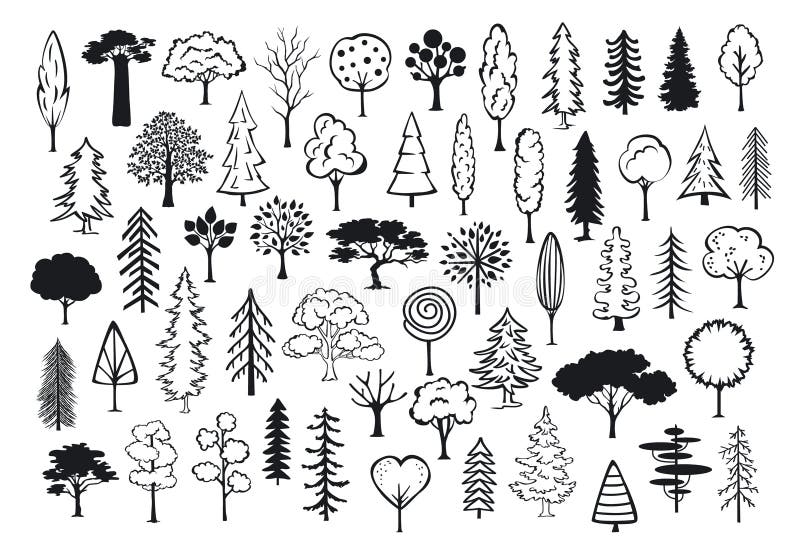 Scarabocchii gli alberi descritti siluette dell'estratto della conifera della foresta del parco
