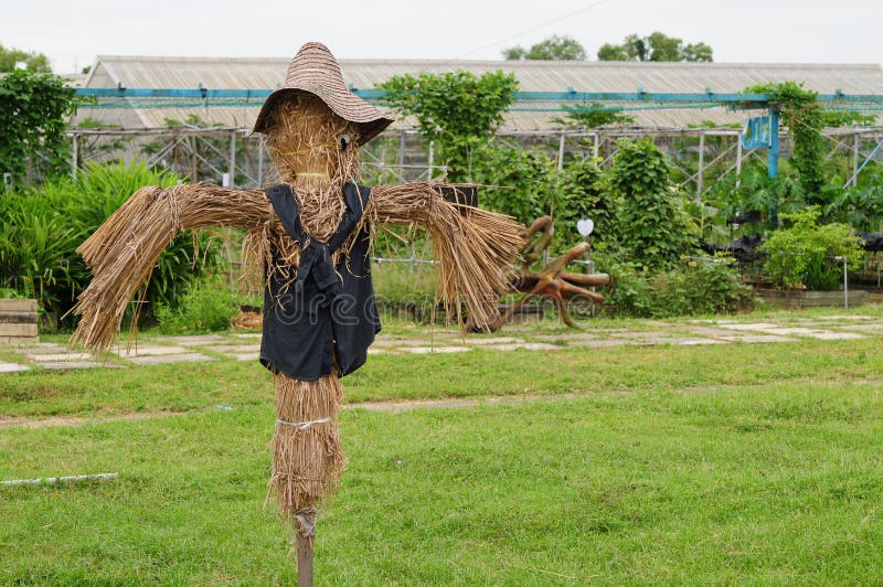 Scarecrow