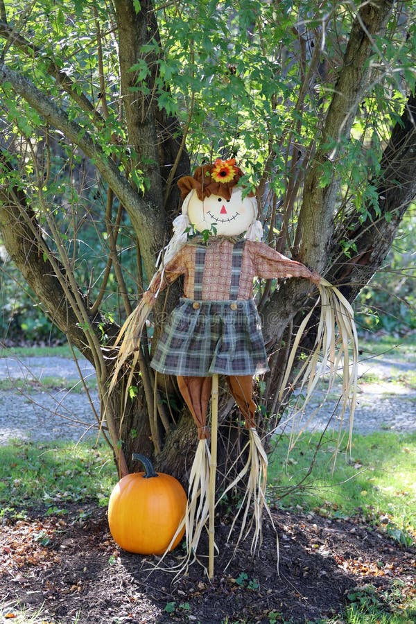Pumpkin Scarecrow stock image. Image of lantern, food - 1364367