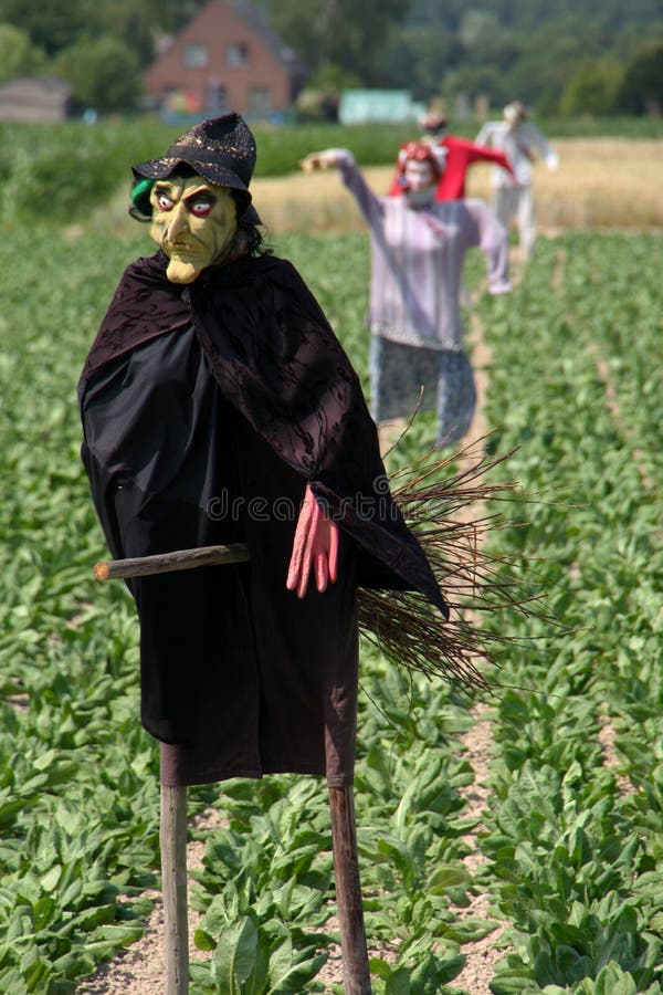 scarecrows arkivbild scarecrows arkivbild
