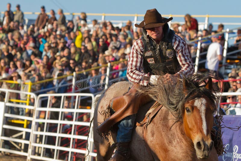 Scared Cowboy Sisters, Oregon Rodeo 2011 Editorial Image Image of horse, ride 19855625
