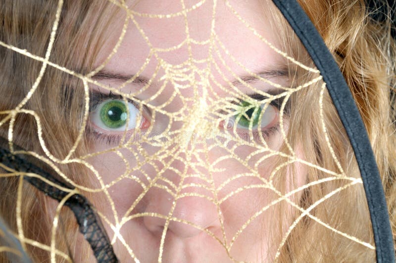 Scared look through spider s web