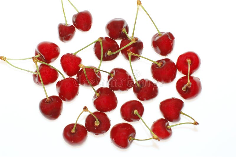 Scarlet cherry