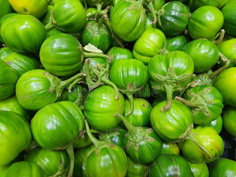 Lot of lot of vibrant green scarlet eggplant vegetable on top of each other  against a black background. Graphic minimalist image of food. Stock Photo