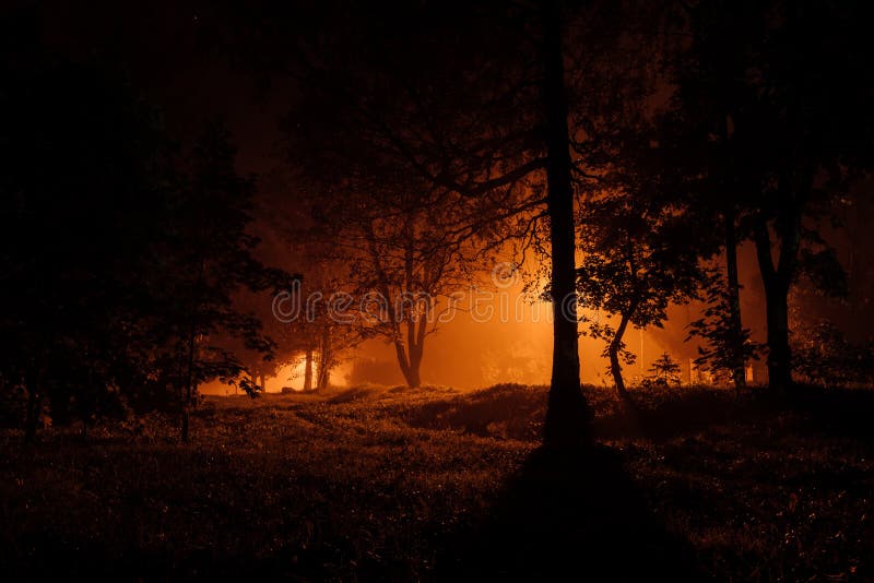 Scary autumn park in the fog at night.