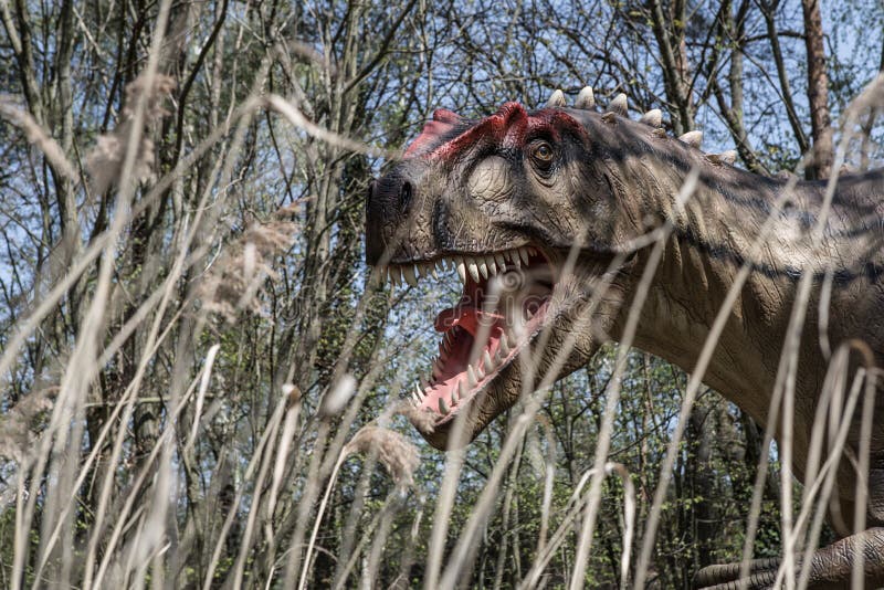 Scary dino dinosaurs T rex Dino royalty free stock photos Scary dino dinosaurs T rex Dino royalty free stock photos