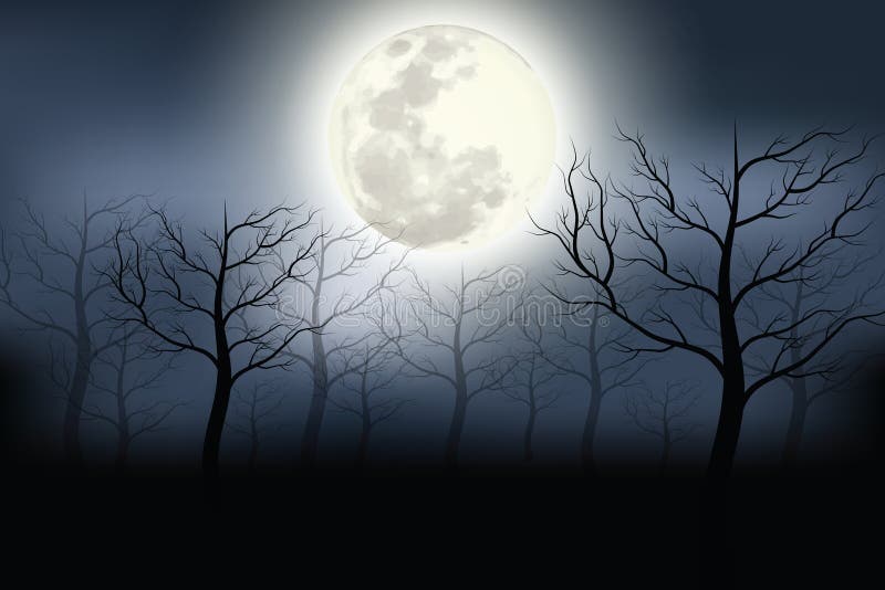 A Scary Forest with a Mist Curtain Lonely Atmosphere Halloween Festival  Background. Stock Vector - Illustration of moonlight, haunted: 161338654