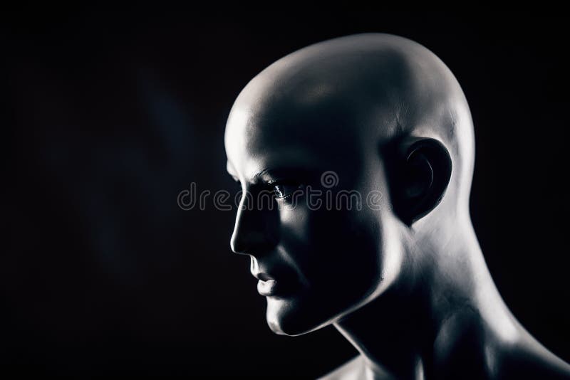 Scary Mannequin Head in the Dark Stock Photo Image of bald, sculpture 203576986