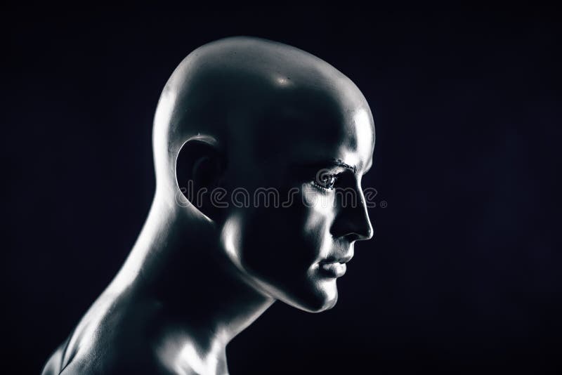 Scary Mannequin Head in the Dark Stock Photo Image of plastic, horror 203577392