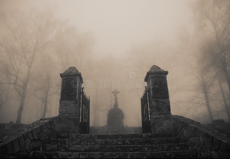 Scary old entrance to forest graveyard in dense fog