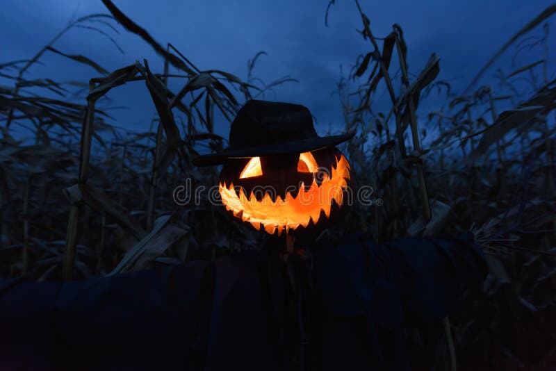 Scary pumpkin scarecrow in a hat royalty free stock photography Scary pumpkin scarecrow in a hat royalty free stock photography