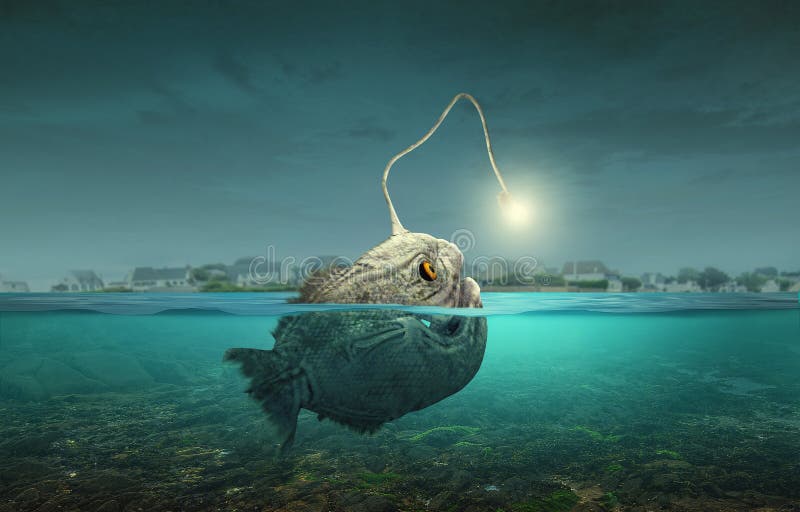 Scary view of angler fish stock illustration. Illustration of