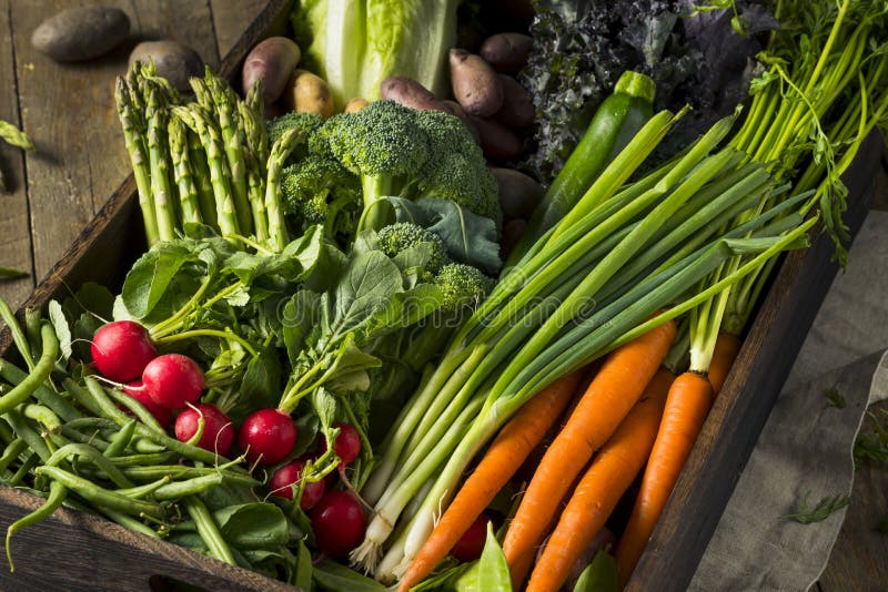 Raw Organic Spring Farmers Market Box with Asparagus Broccoli Kale Snow Peas and Green Onions. Raw Organic Spring Farmers Market Box with Asparagus Broccoli Kale Snow Peas and Green Onions