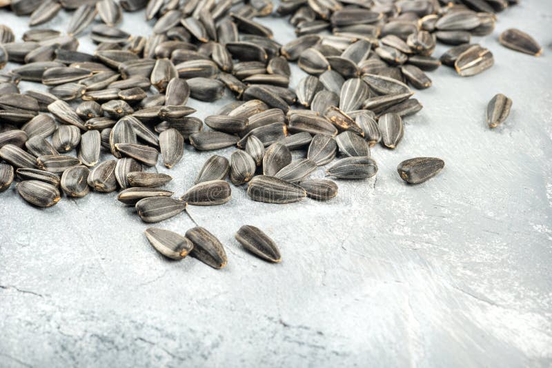 Sunflower seeds in shell stock photo. Image of dieting 164645718