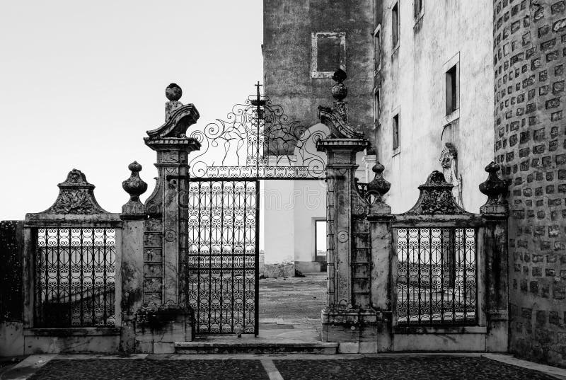 Scatto in scala di grigi di un reticolo fotografia stock libera da diritti