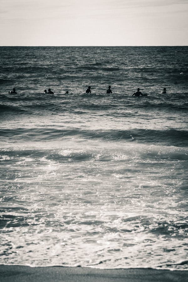 Scatto in scala di grigi verticale di un mare con silhouette immagini stock libere da diritti