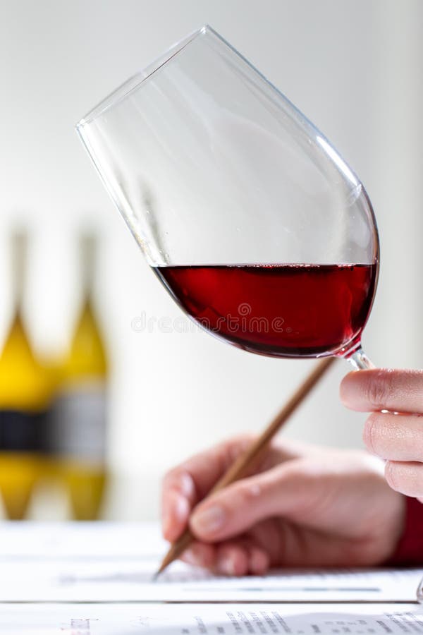 Scatto verticale del sommelier che valuta il vino rosso a tavola fotografie stock
