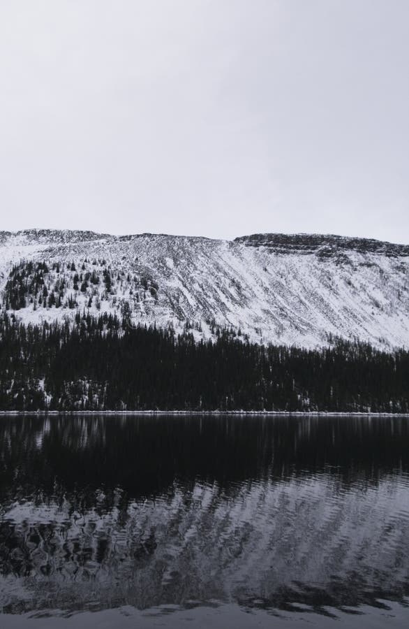 Scatto verticale della scala di grigi della foresta di neve e sua riflessione sul lago fotografie stock