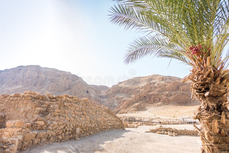 Scavi in Qumran, dove rotoli del pellame di Essenes con la bibbia