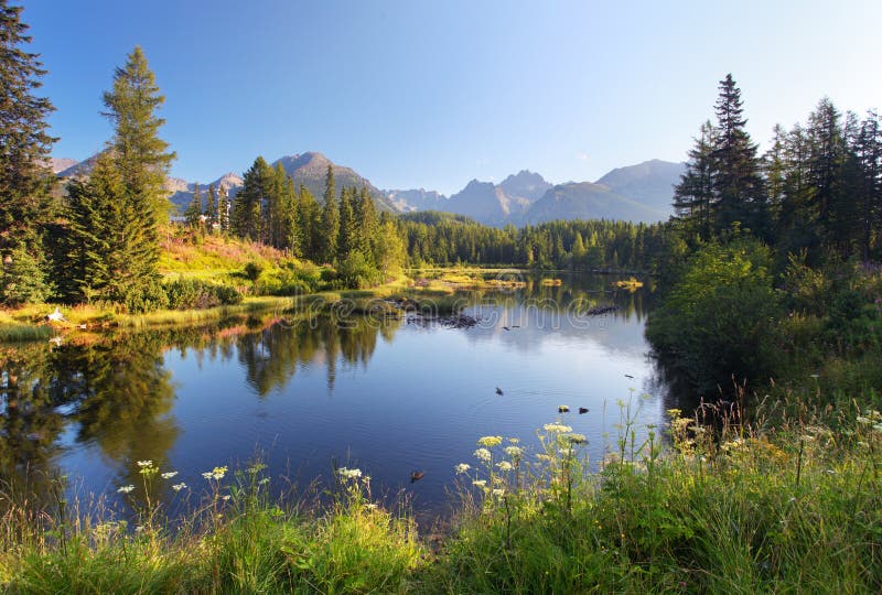 Scena della montagna della natura con il bello lago in Slovacchia Tatra