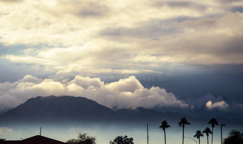 Early morning mountain scene in the silhouette palm Arizona, USA. Early morning mountain scene in the silhouette palm Arizona, USA