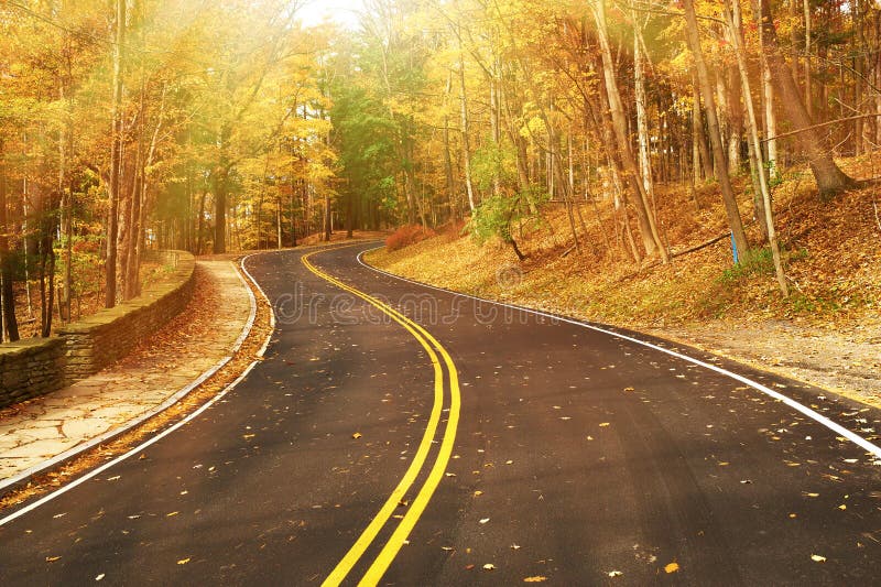 Scena di autunno con la strada in foresta fotografia stock libera da diritti Scena di autunno con la strada in foresta fotografia stock libera da diritti