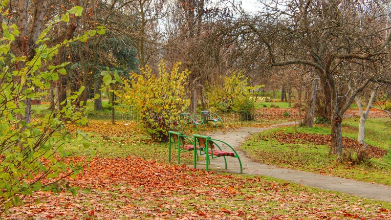 Scena di autunno sul parco della città fotografia stock Scena di autunno sul parco della città fotografia stock