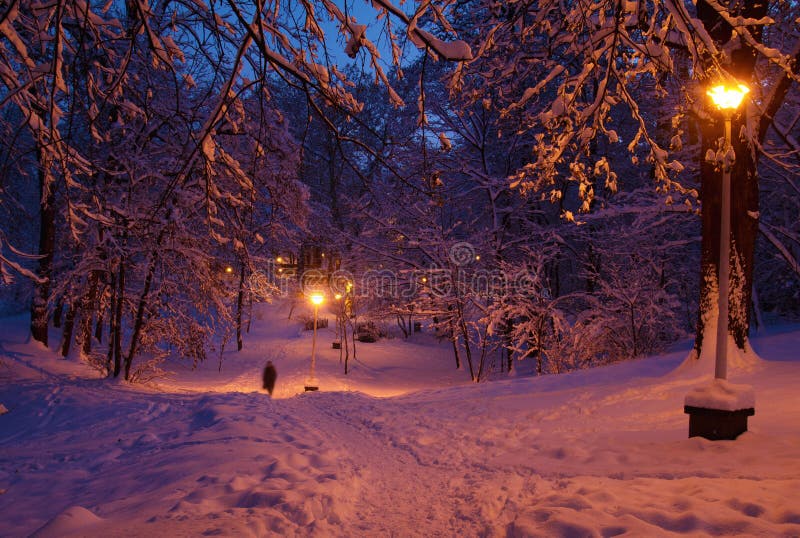 Scena di sera di inverno immagine stock Scena di sera di inverno immagine stock