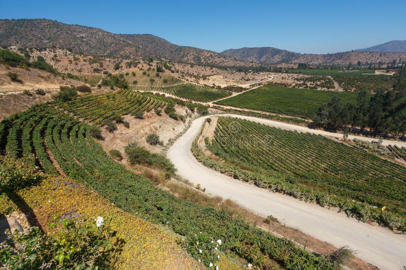 Scenariskt läge från vina indomita vineyards huvudkontor i Casablanca valley chile royaltyfria foton