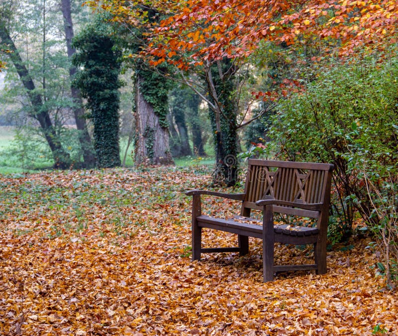 Scene With Wooden Bench In The Autumn Park Stock Image Image Of