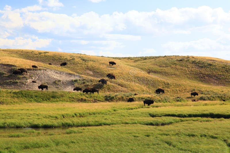 He scenery along the Yellowstone River