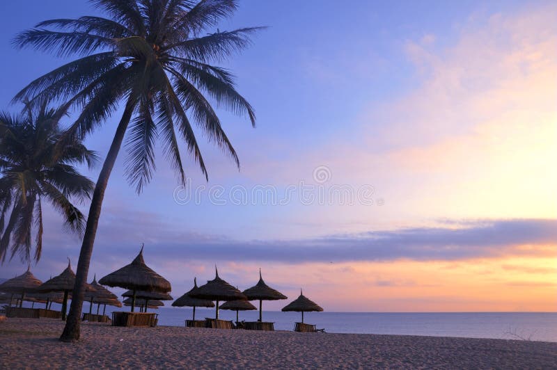 Scenery on beach