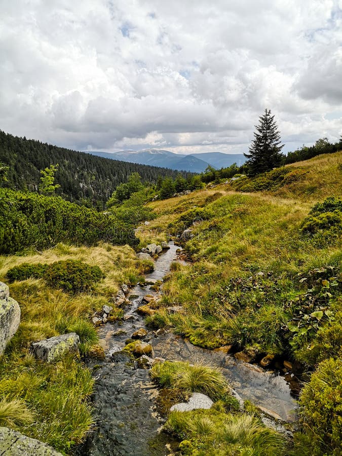 Scenery of beautiful high mountains with greenery