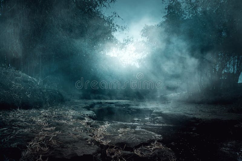 Scenery of creepy river at night royalty free stock image