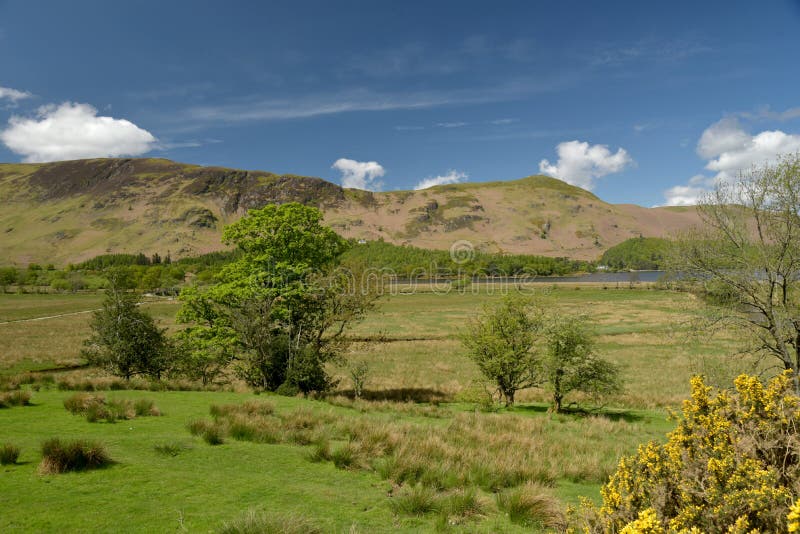 Scenery at the Foot of Derwentwater Near Borrowdale Stock Image - Image