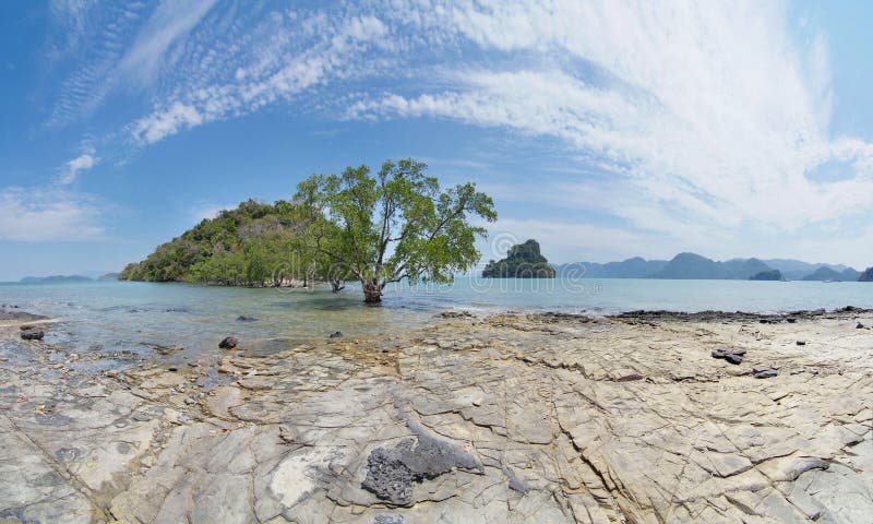 Scenery with mangrove trees and small islands stock photography Scenery with mangrove trees and small islands stock photography