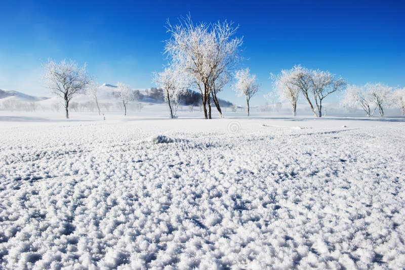 The scenery in the snow