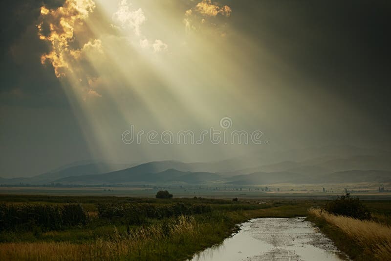 Sun rays after rain