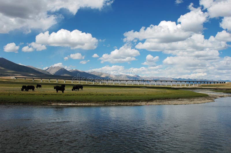 Scenery in Tibet