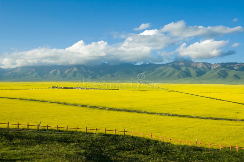 Scenery of Tibetan plateau