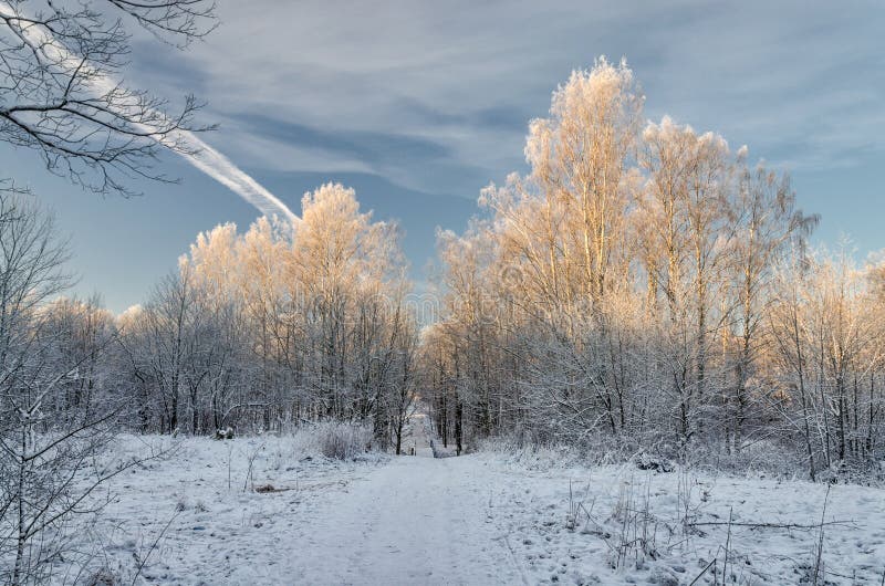 A Scenery at the Very Frosty Winter Day. Stock Photo - Image of scenery ...