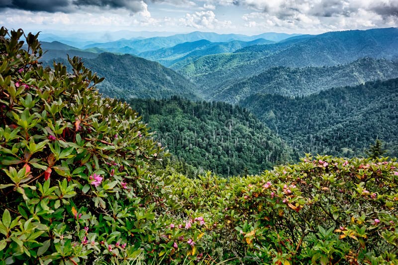 Scenes Along Appalachian Trail in Great Smoky Mountains Stock Image